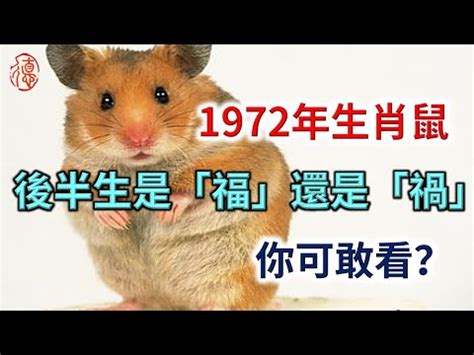 72年次生肖